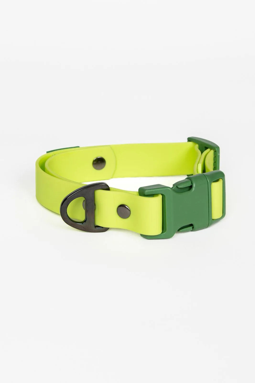 Mossy Pine Waterproof Dog Collar Aria the Fox
