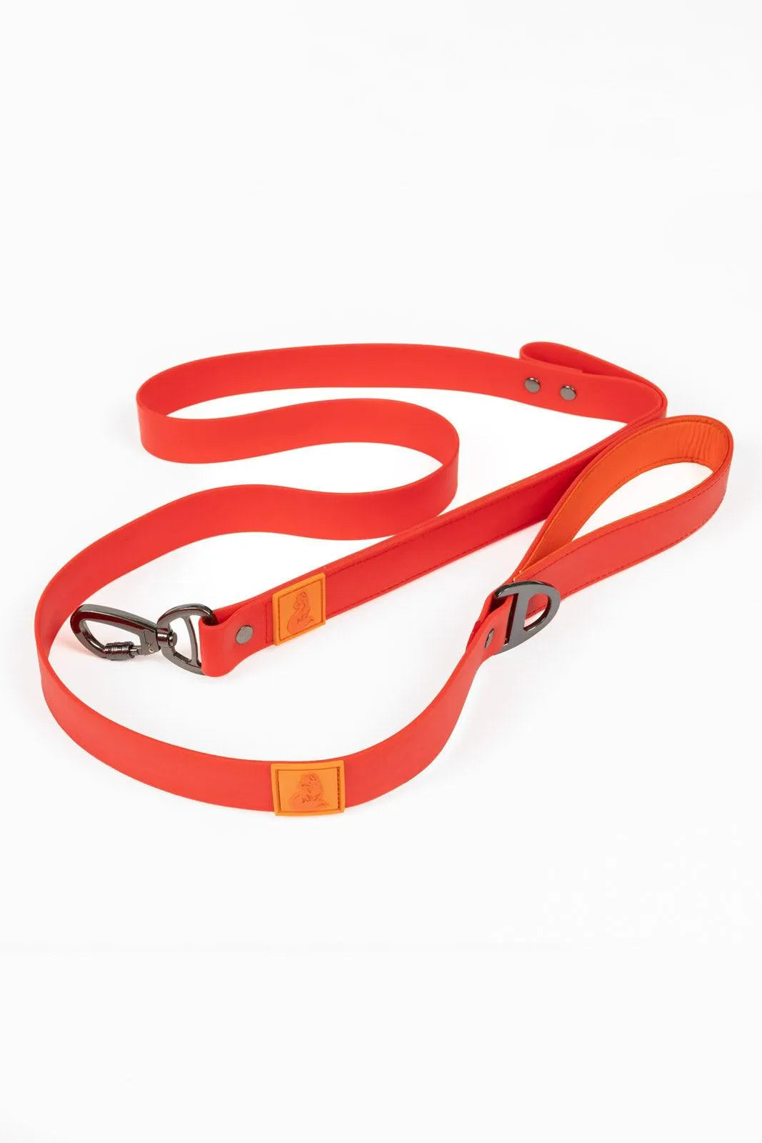 Scarlet Peaks Waterproof Leash Aria the Fox