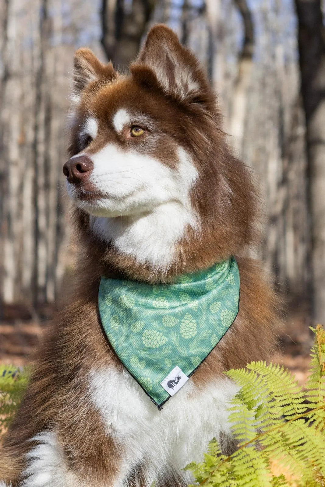 Pine Cone Pup Bandana & Matching Keychain Aria the Fox
