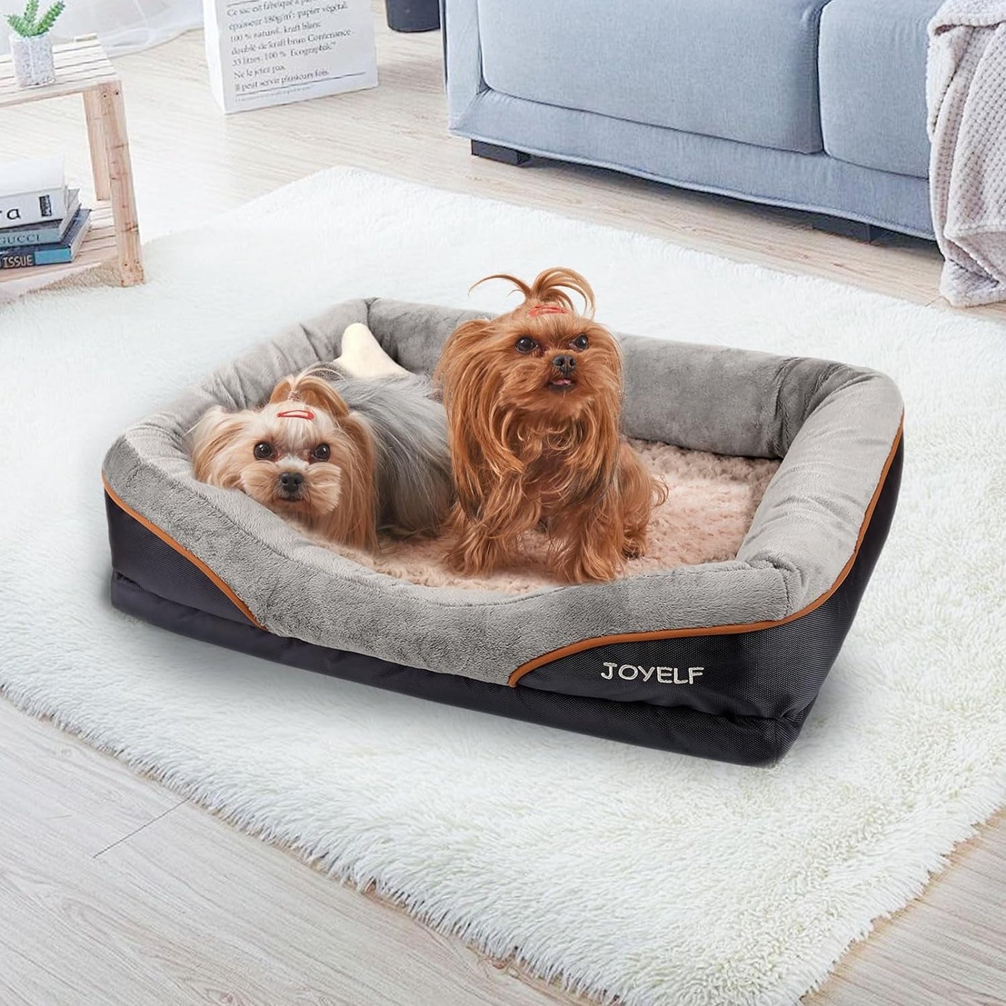 Large Memory Foam Dog Bed MJ's Pet Closet