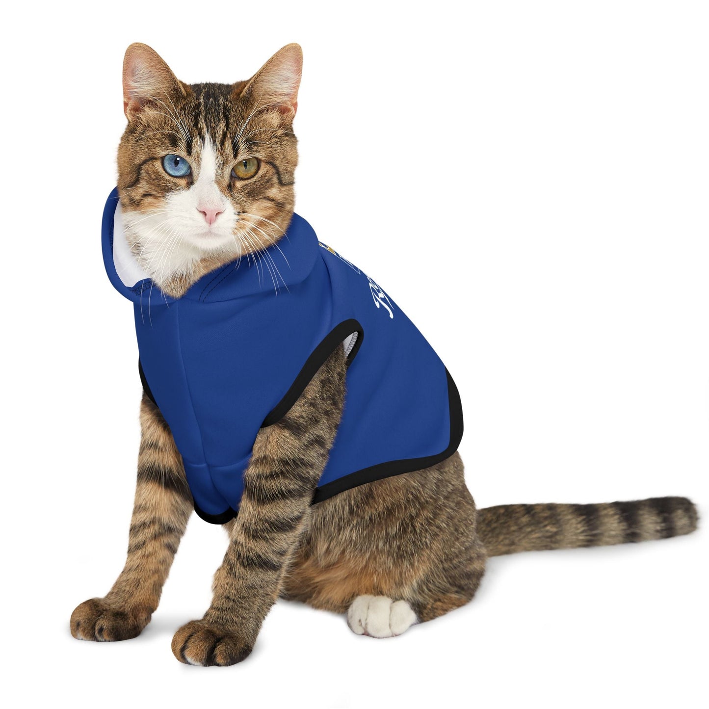 KC Royals Pet Hoodie for Game Day, Dog Apparel, Pet Fashion, Sportswear, Soft Hoodie for Dogs, Blue Pet Outfit Printify