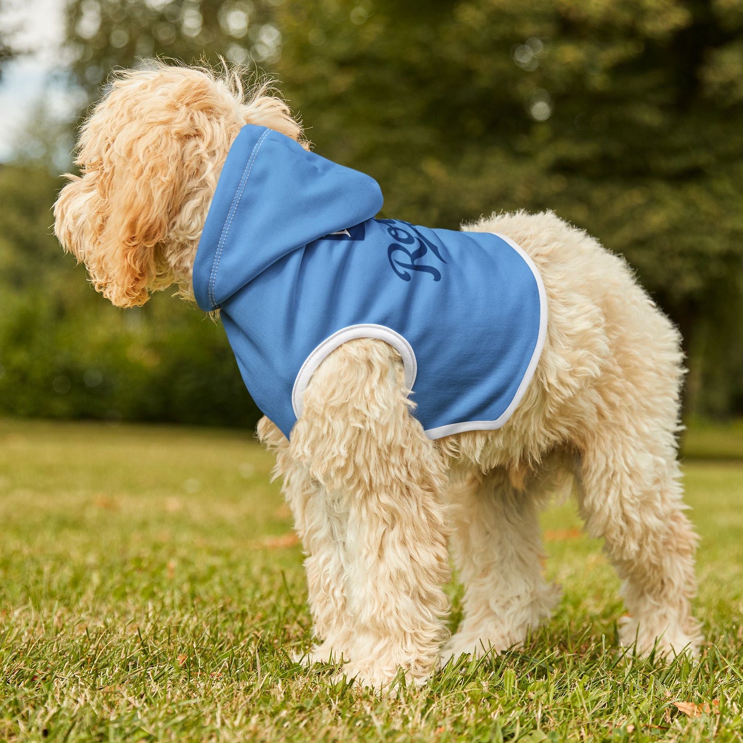 KC Royals Pet Hoodie - Cozy Dog Sweater, Perfect for Game Day, Pet Costume, Doggie Apparel, Sports Fan Gift Printify