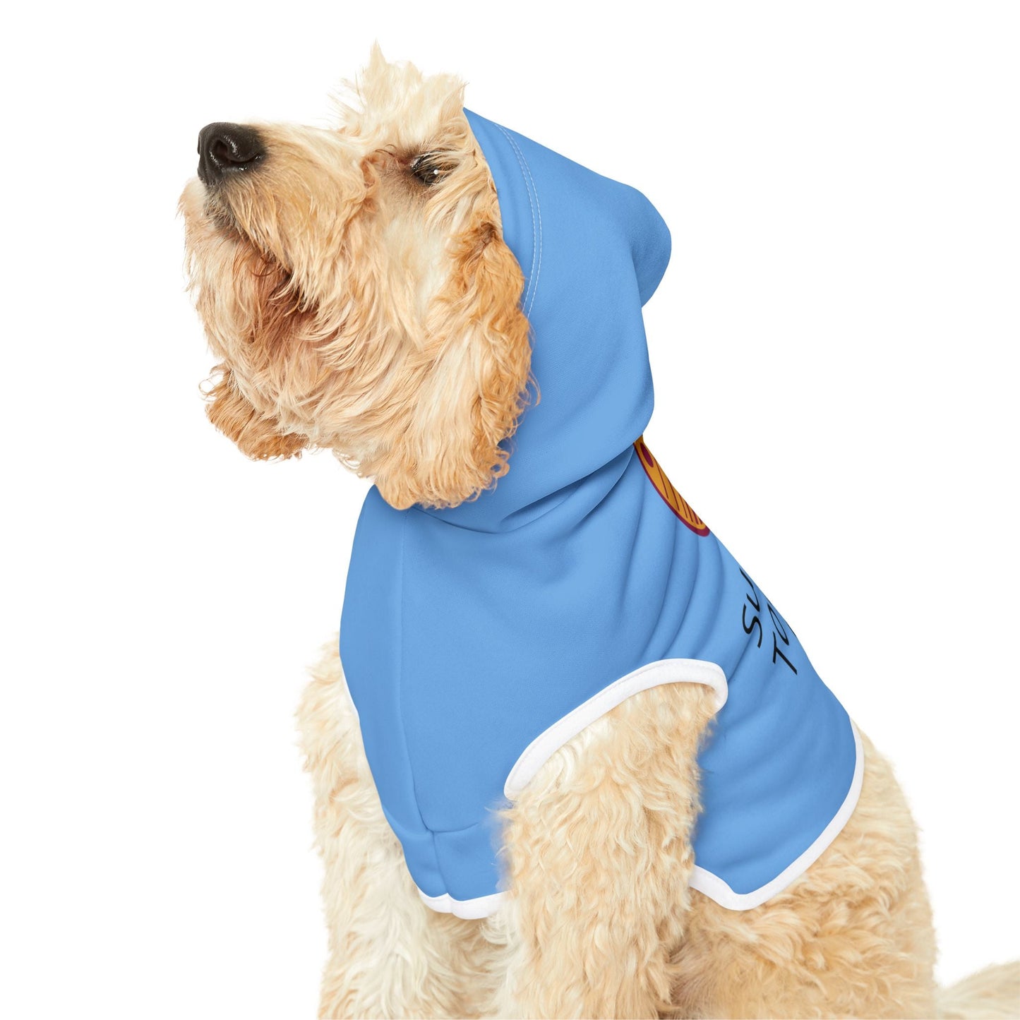 Suns Out Tongues Out Hoodie Printify