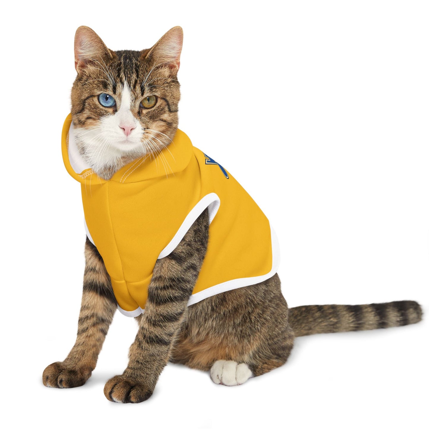 Stylish Blues Hoodie, Cozy Dog Sweater, Cute Puppy Outfit, Dog Apparel, Pet Fashion Printify