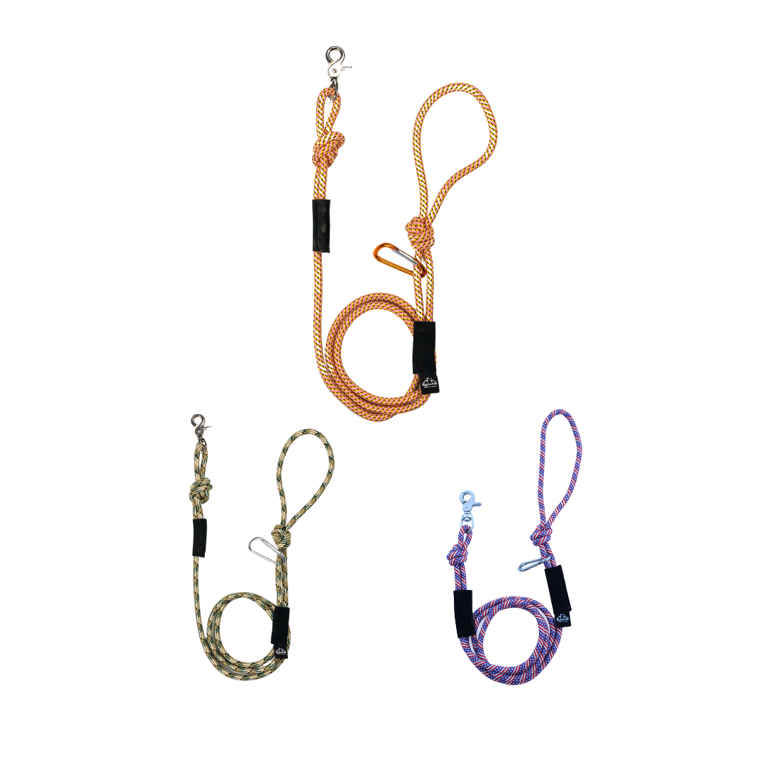7MM Adventure Kernmantle Rope Dog Leash Alpha Pak