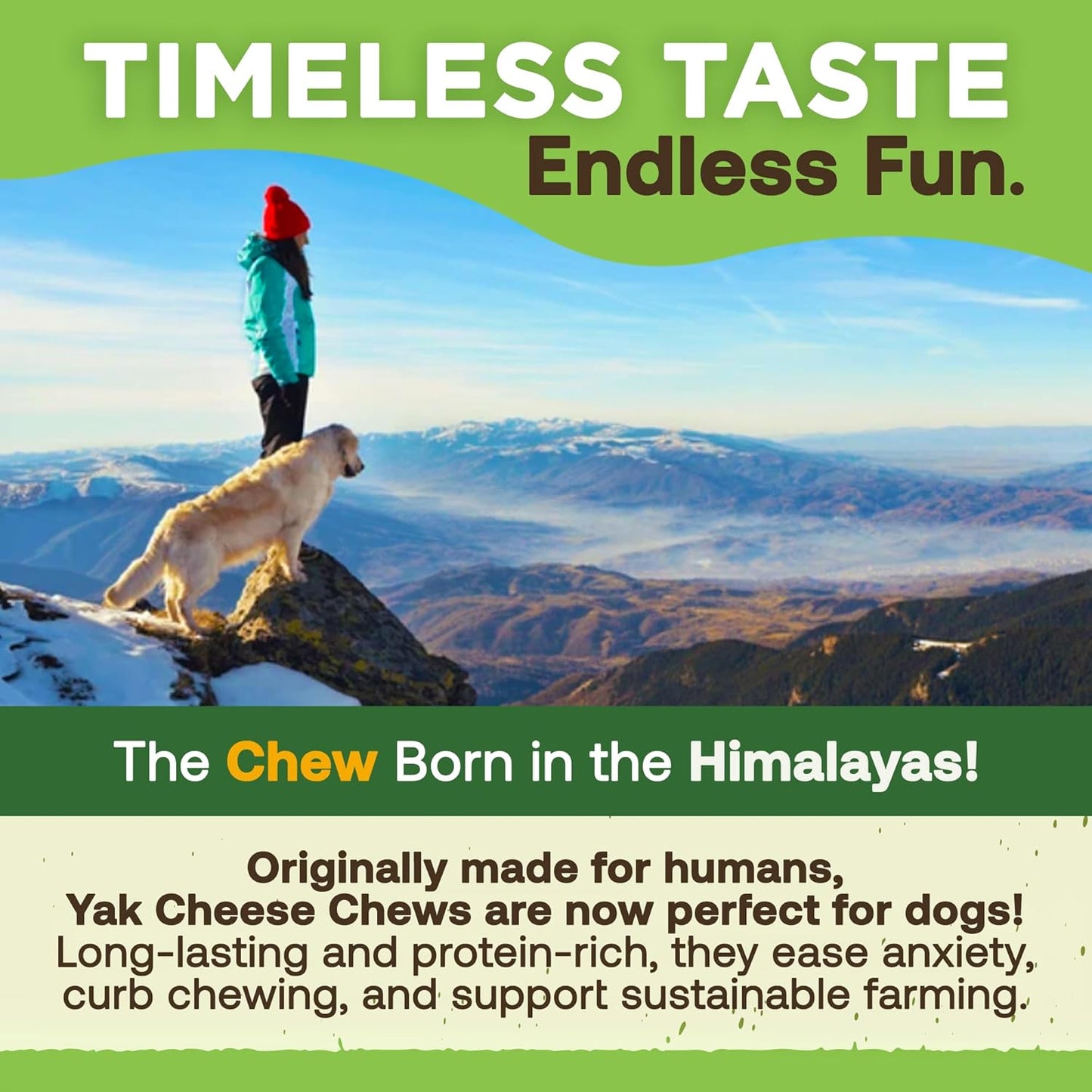 Gold Yak Chews for Small Dogs (4 - 75 sticks) WooF WooF MeoW MeoW