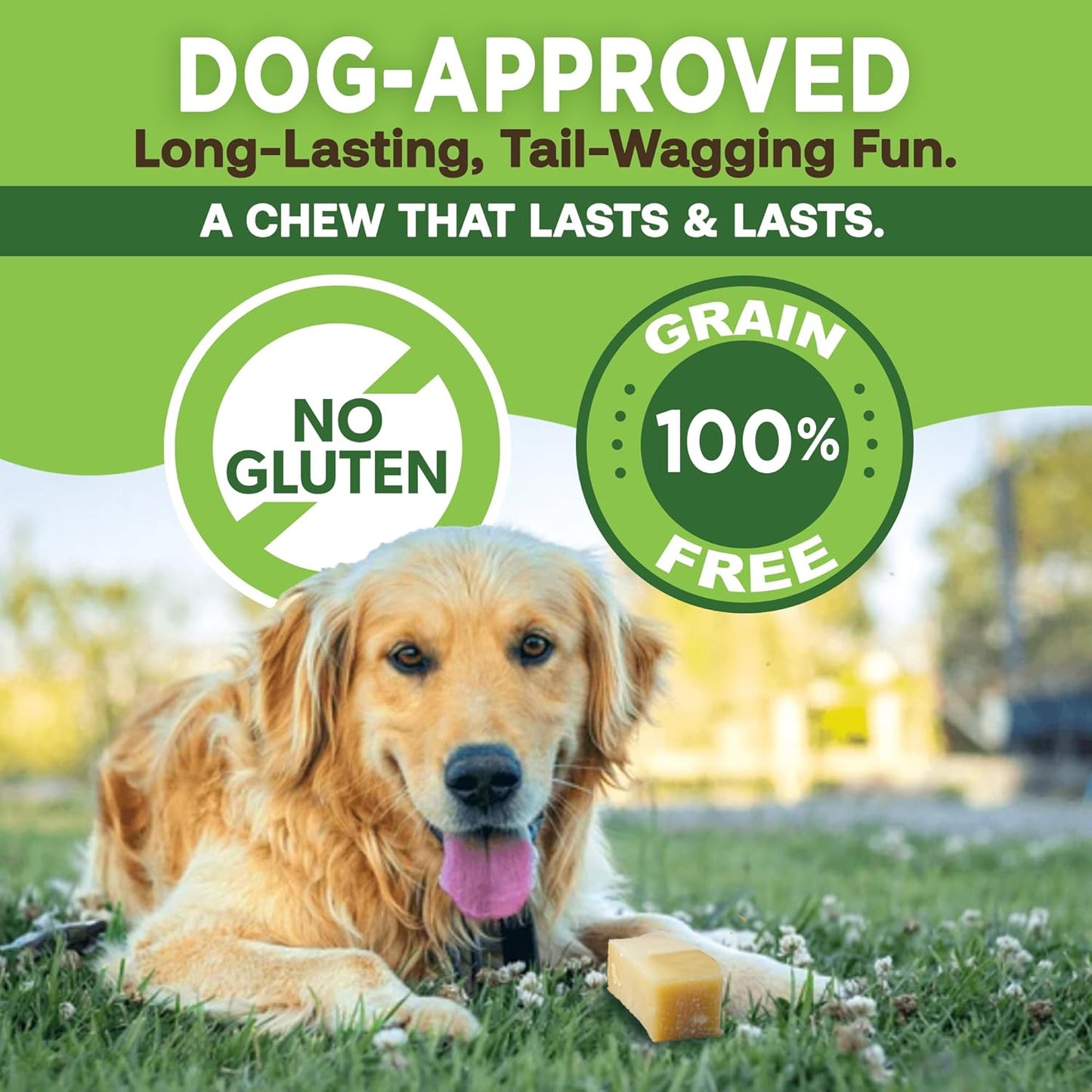 Gold Yak Chews for Small Dogs (4 - 75 sticks) WooF WooF MeoW MeoW