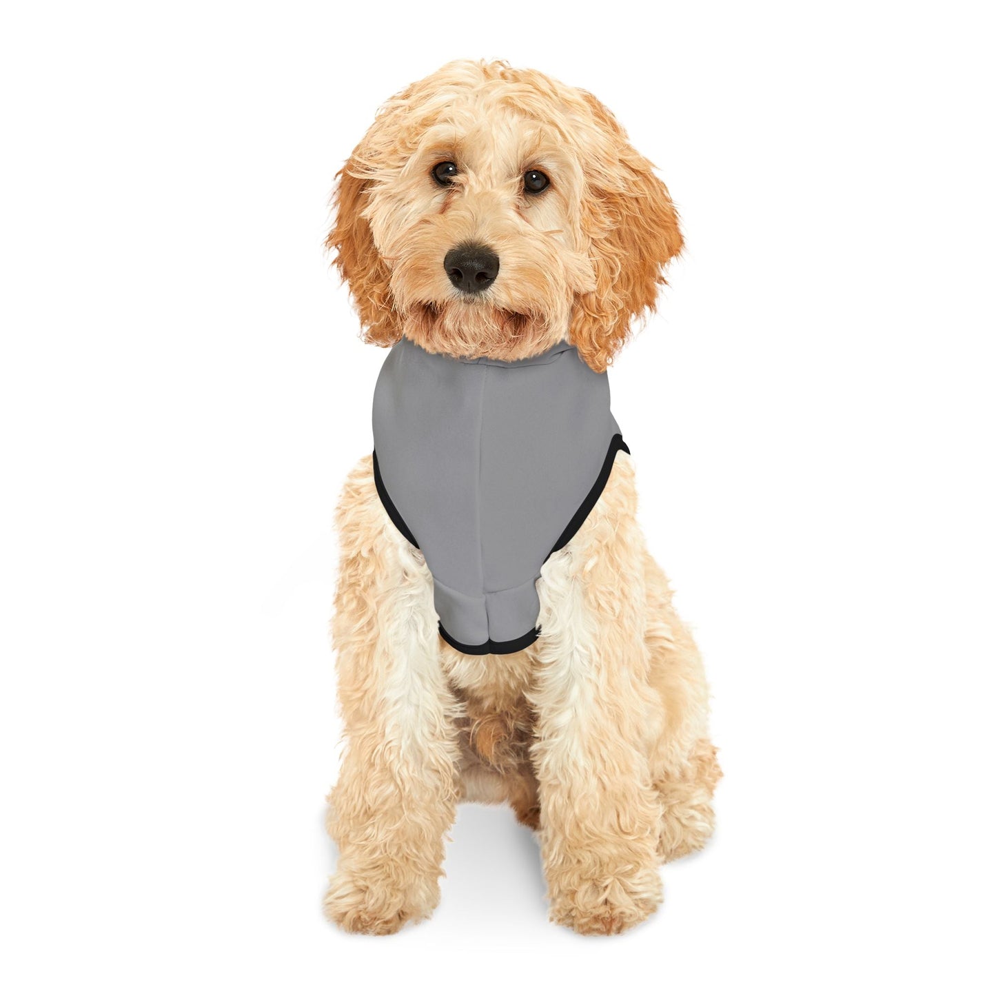 Raiders Pet Hoodie with Raiders Design, Perfect for Dog Lovers, Cozy Canine Apparel, Team Spirit Wear, Pet Fashion Statement Printify