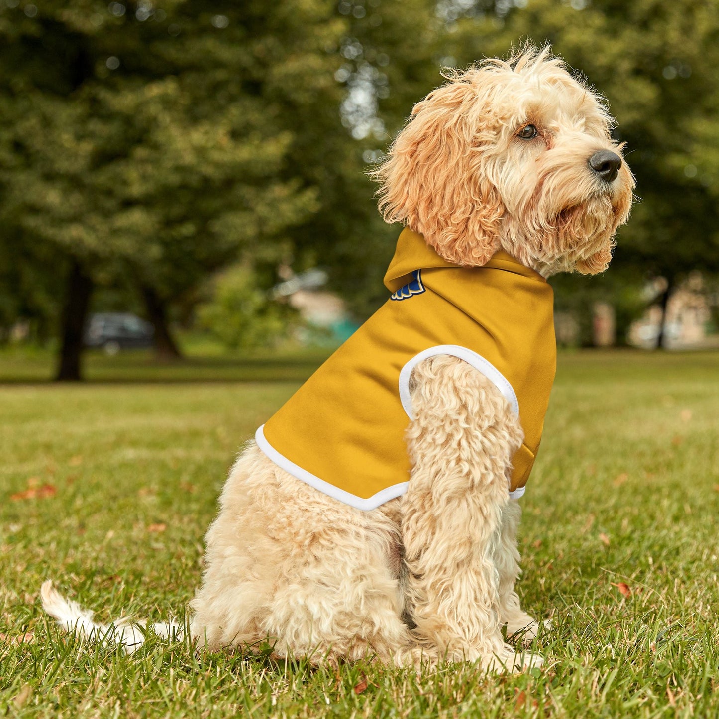 Stylish Blues Hoodie, Cozy Dog Sweater, Cute Puppy Outfit, Dog Apparel, Pet Fashion Printify