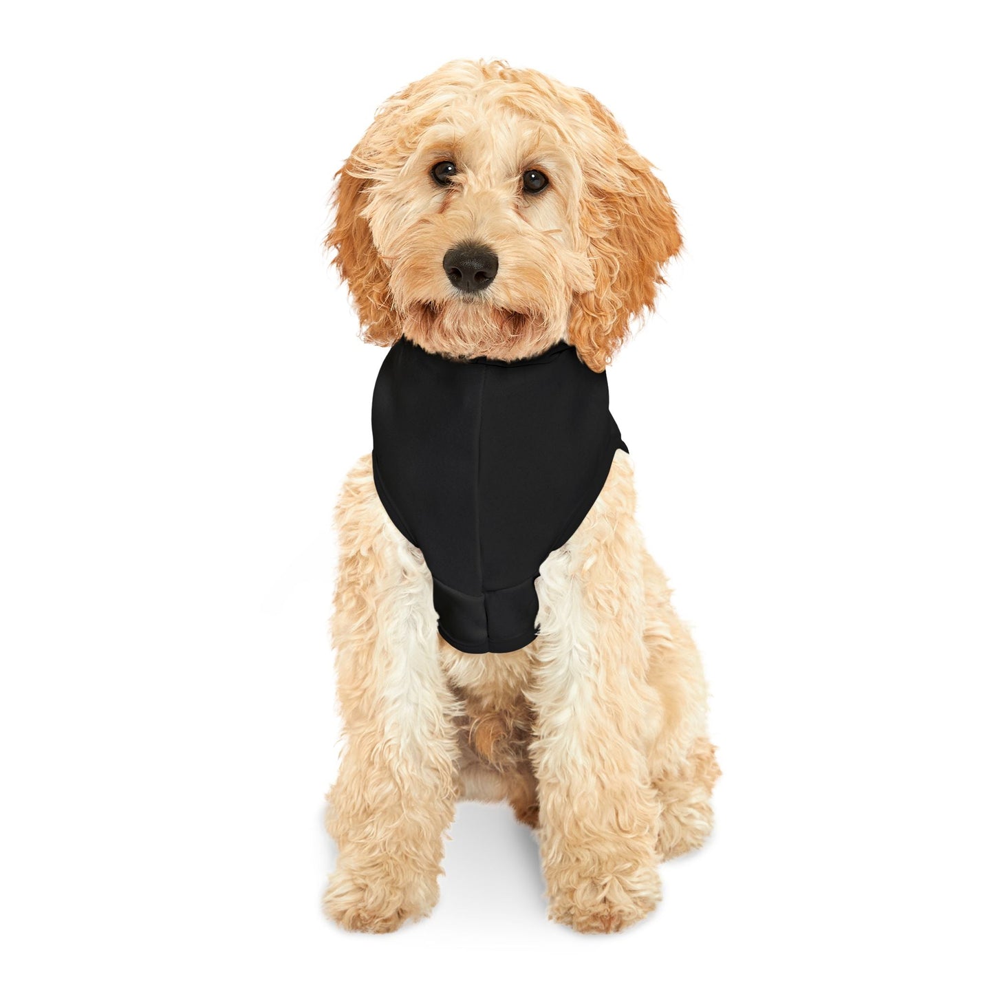 Raiders Pet Hoodie for Sports Fans, Cozy Pet Apparel, Dog & Cat Wear, NFL Team Merchandise, Perfect for Game Days Printify