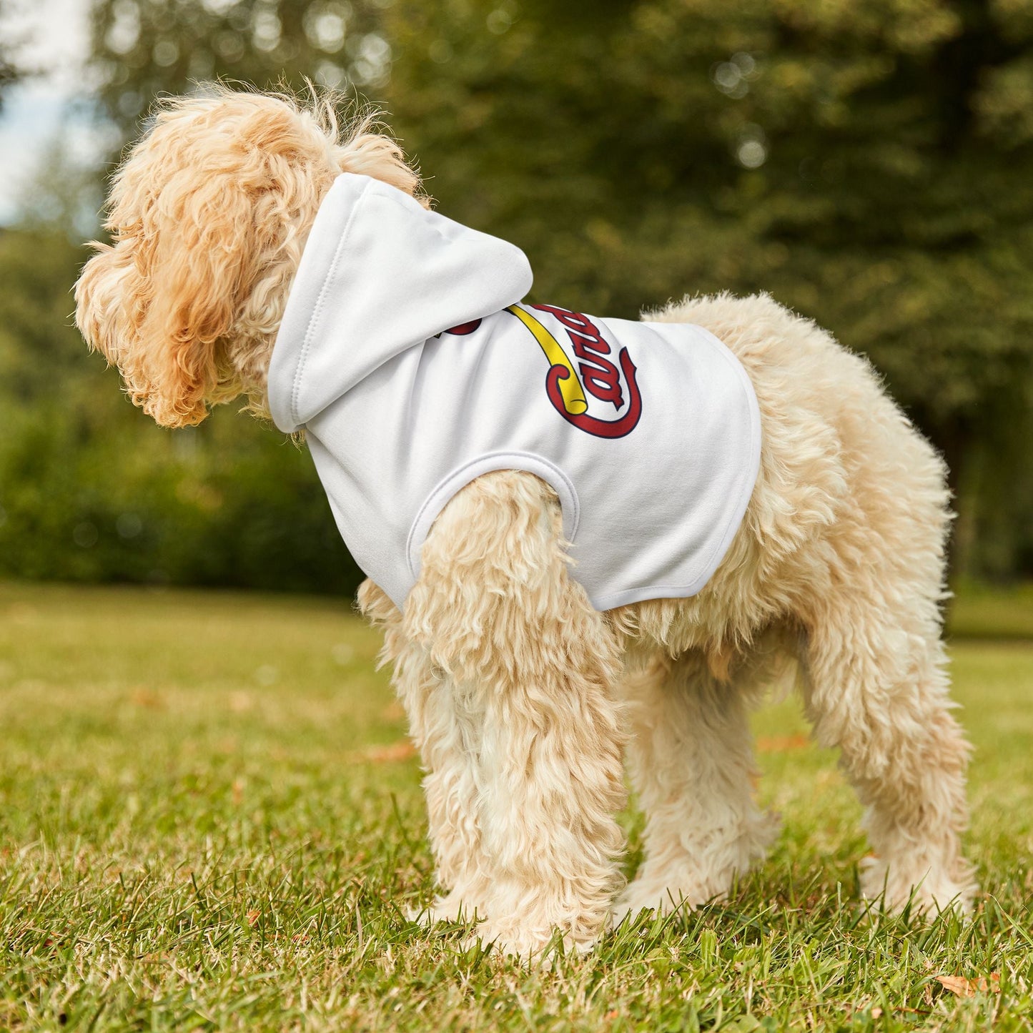 Cardinal Pet Hoodie, Cozy Dog Apparel, Furry Friend Fashion, Pet Lovers Gift, Sports Team Outfit, Cute Animal Clothing Printify