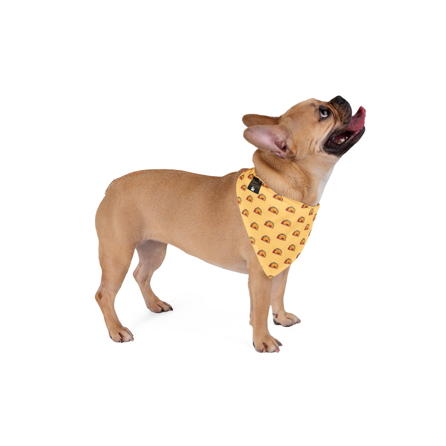 Taco Pawsh Bandana, Cute Dog Accessory, Summer Pet Fashion, Festival Wear for Pets, Gift for Pet Lovers Printify