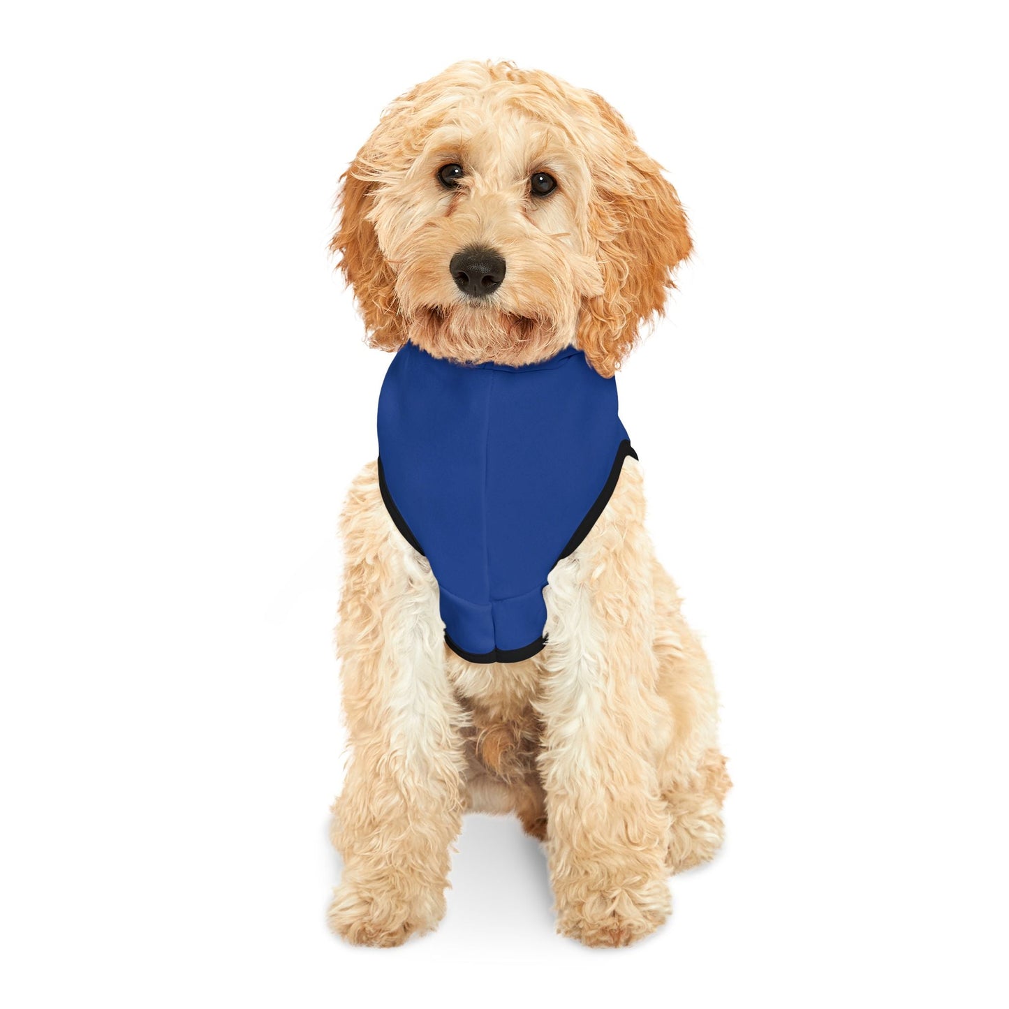 KC Royals Pet Hoodie for Game Day, Dog Apparel, Pet Fashion, Sportswear, Soft Hoodie for Dogs, Blue Pet Outfit Printify