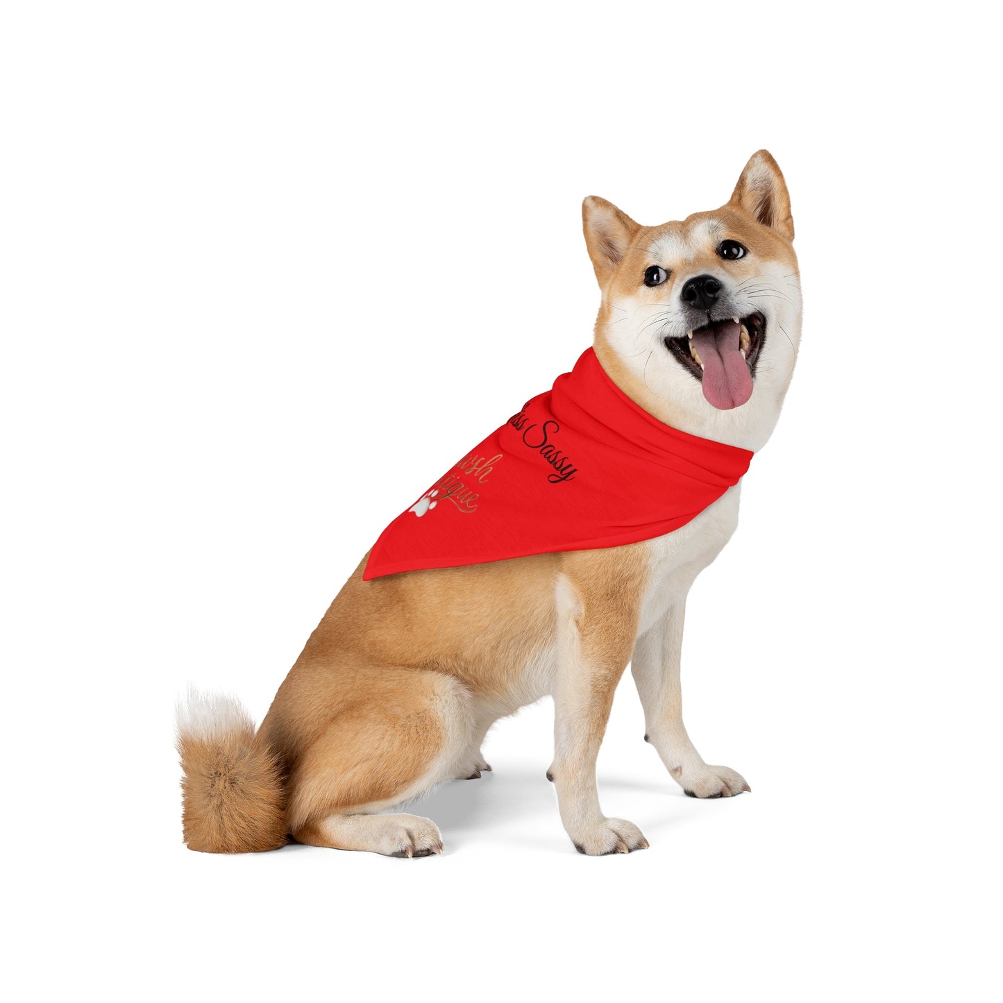 Sassy Pet Bandana, Pet Accessories Printify
