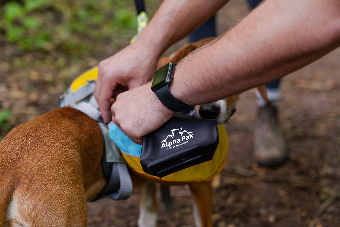 Kobuk Water Bladder Alpha Pak
