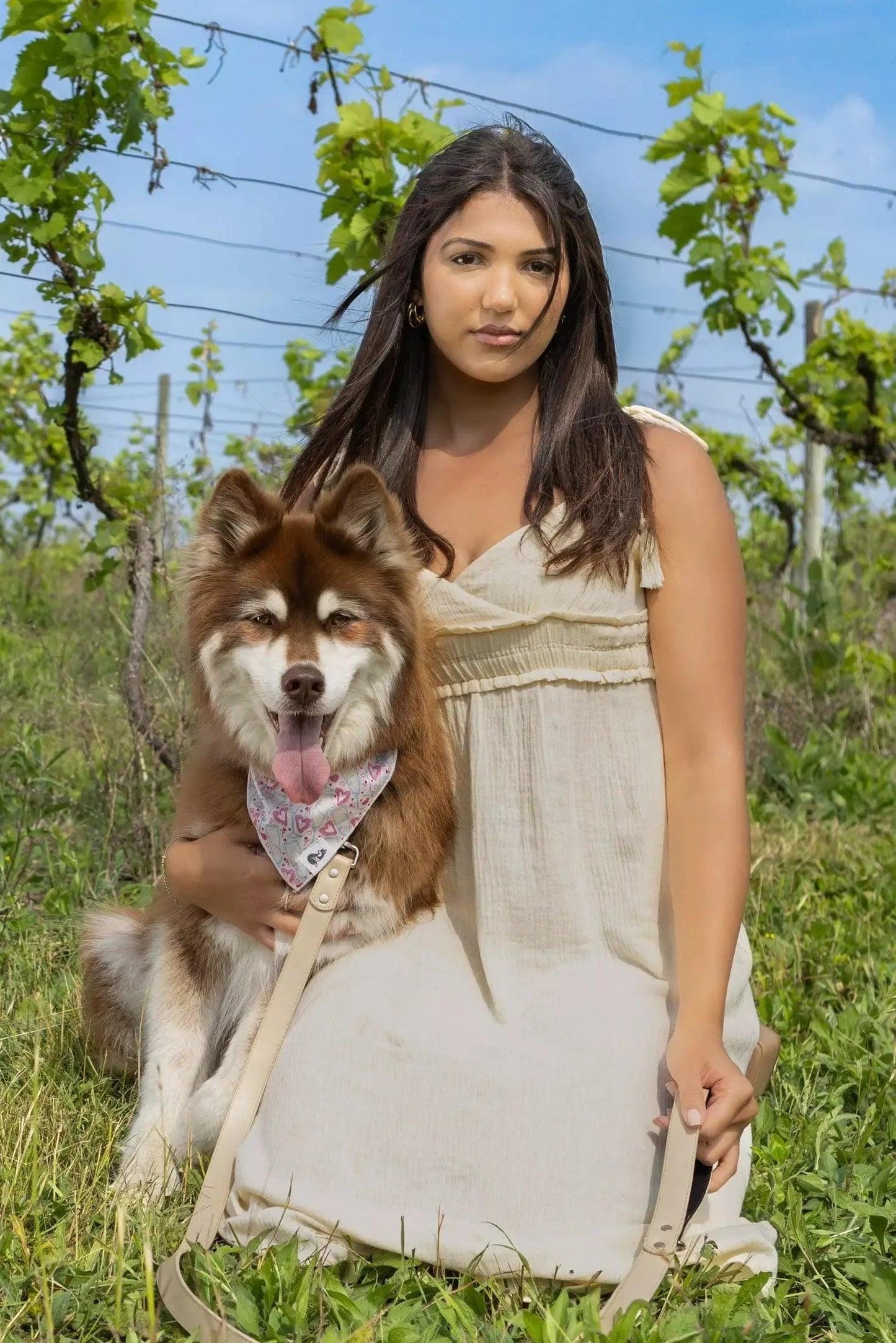 Champagne Fizz Vegan Leather Dog Collar Aria the Fox