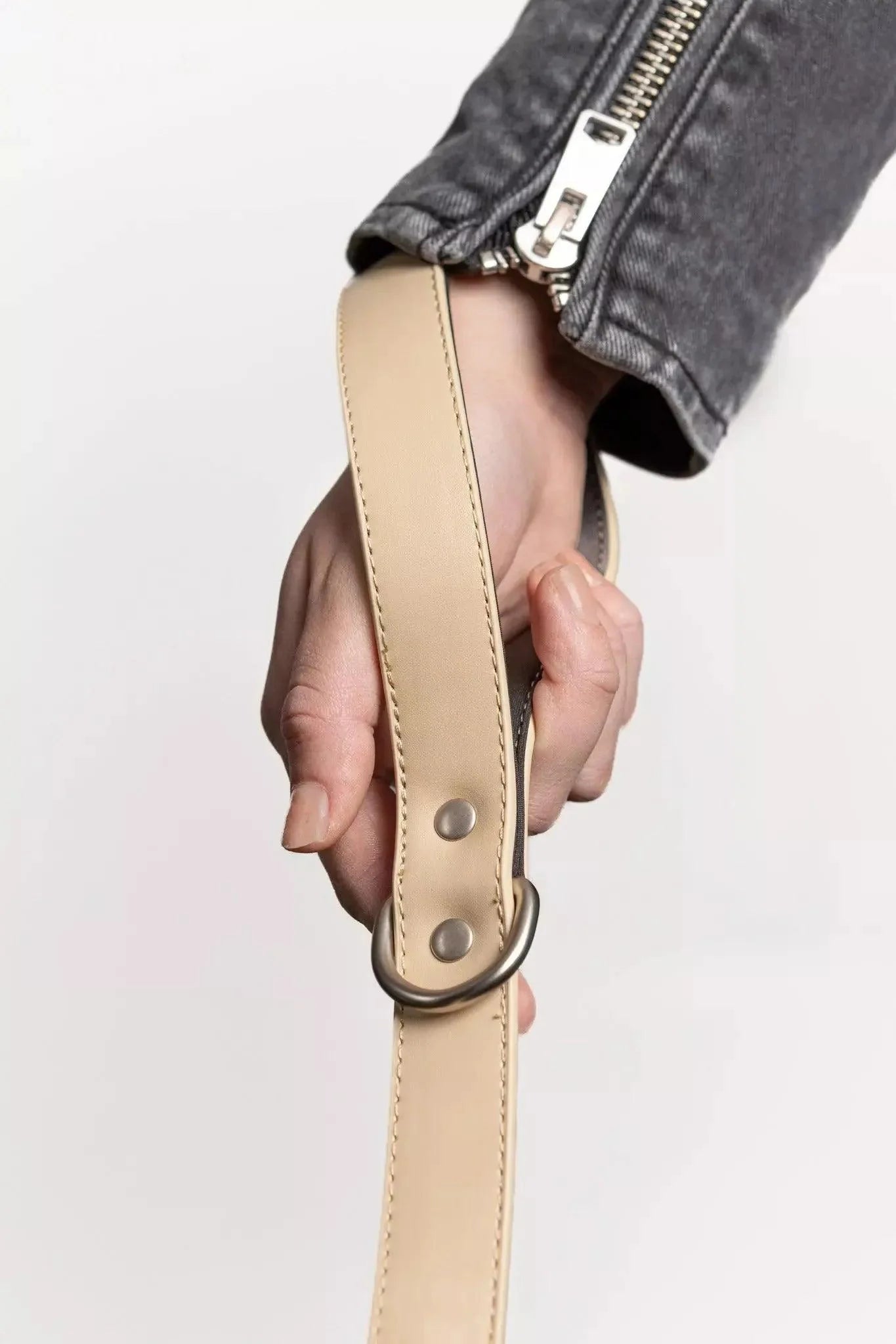 Champagne Fizz Vegan Leather Dog Leash Aria the Fox