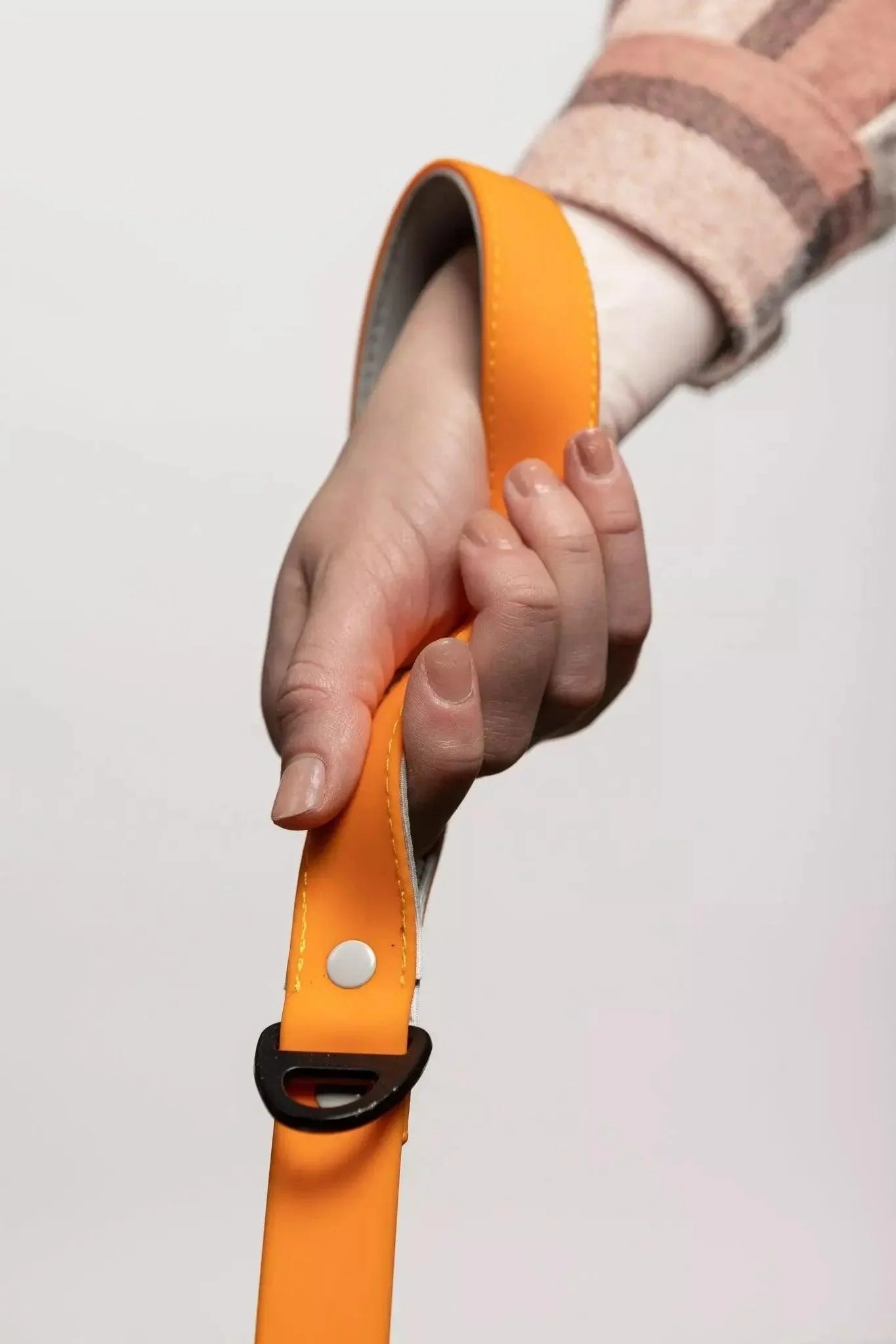 Crimson Glow Waterproof Dog Leash Aria the Fox