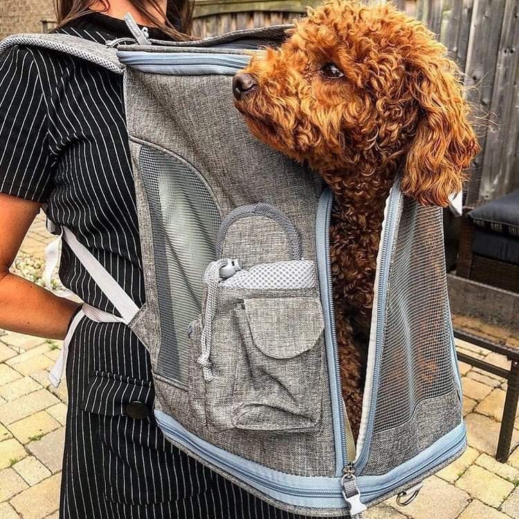 Mr. Peanut's Vancouver Series Backpack Pet Carrier for Smaller Cats and Dogs Mr. Peanut's Pet Carriers