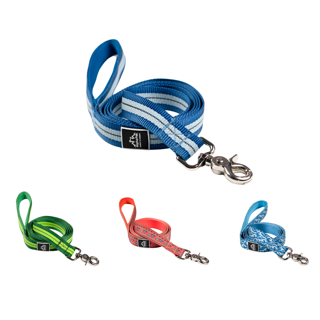 Classic Adventure Flat Dog Leash Alpha Pak