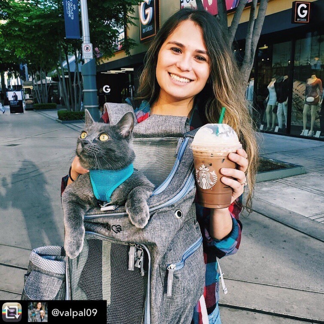 Mr. Peanut's Vancouver Series Backpack Pet Carrier for Smaller Cats and Dogs Mr. Peanut's Pet Carriers