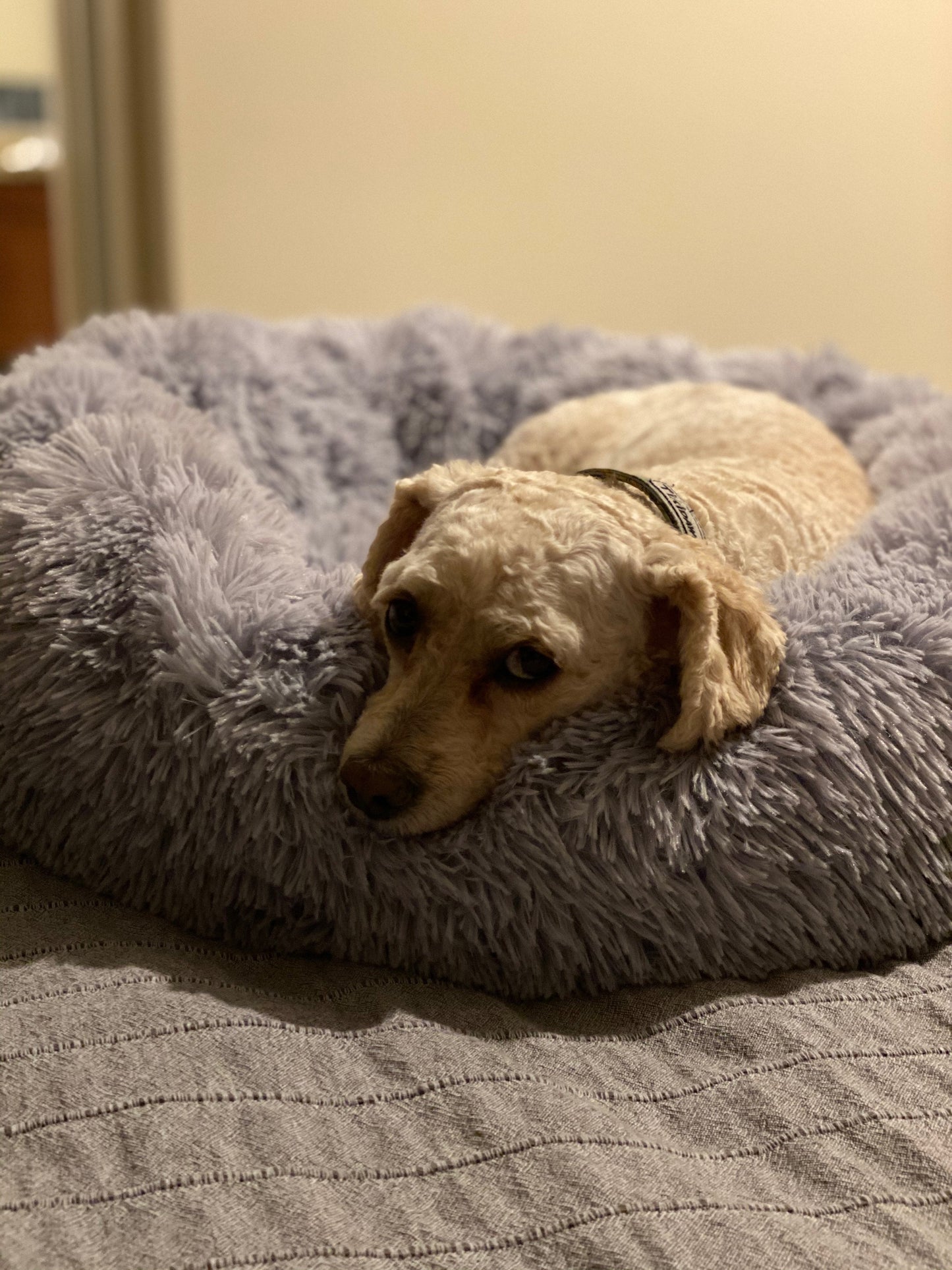 Mr. Peanut's 23" OrthoPlush® Pet Bed - Gray Two Tone Mr. Peanut's Pet Carriers