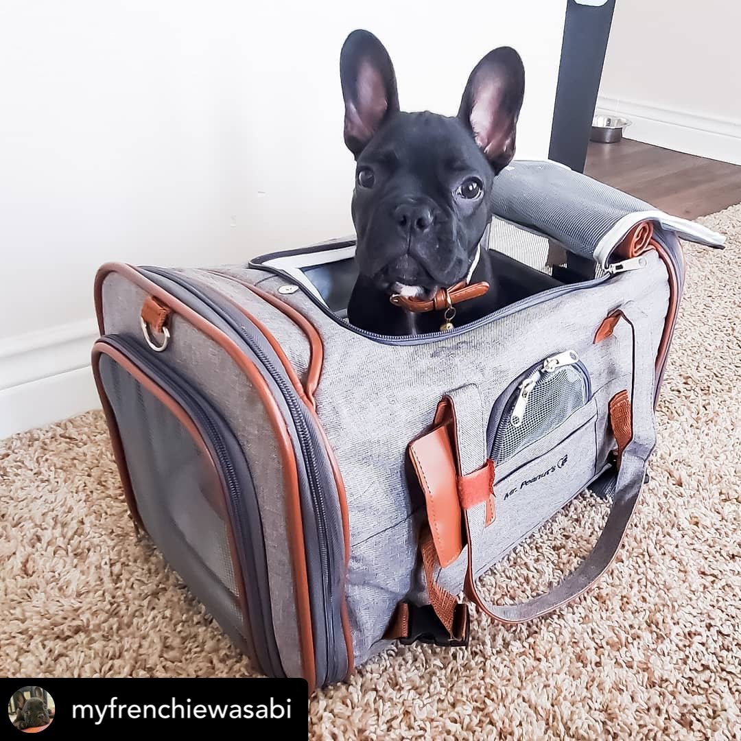 Mr. Peanut's Gold Series Standard Size Airline Compliant Pet Carrier Mr. Peanut's Pet Carriers