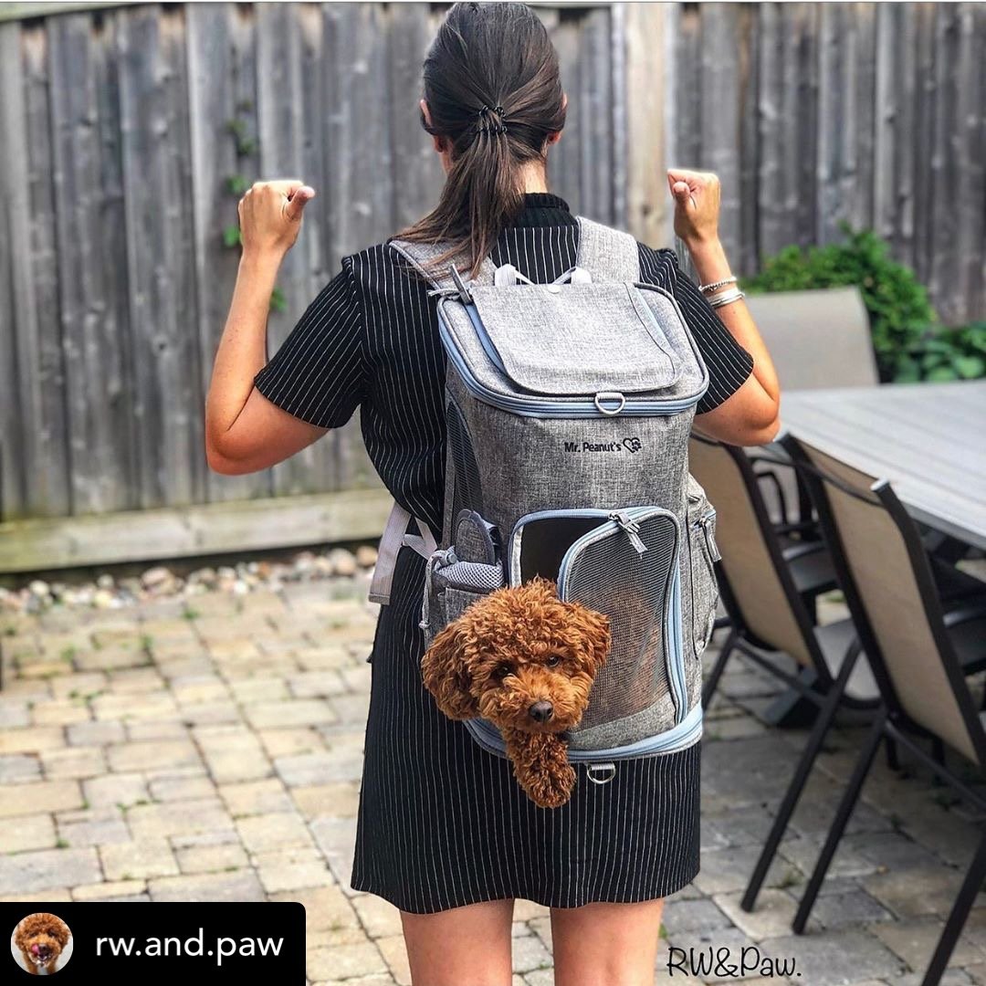 Mr. Peanut's Vancouver Series Backpack Pet Carrier for Smaller Cats and Dogs Mr. Peanut's Pet Carriers