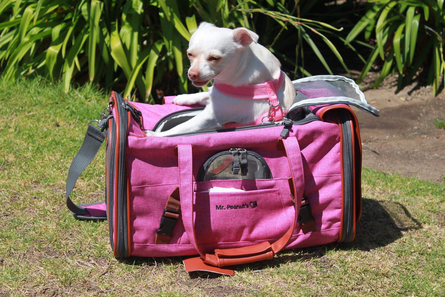 Mr. Peanut's Gold Series Standard Size Airline Compliant Pet Carrier Mr. Peanut's Pet Carriers