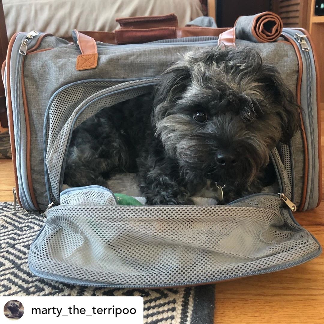 Mr. Peanut's Gold Series Standard Size Airline Compliant Expandable Pet Carrier Mr. Peanut's Pet Carriers