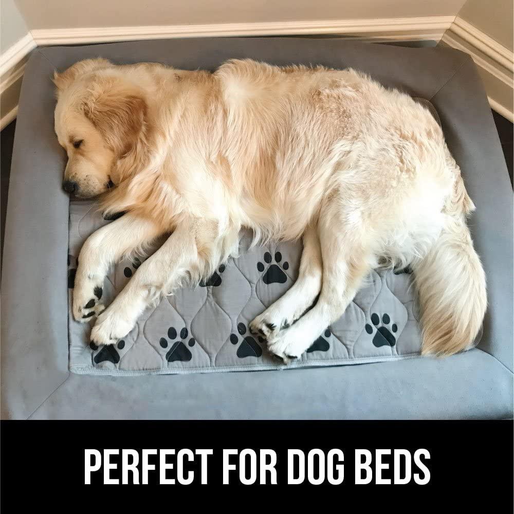 Mr. Peanut's Washable Reusable Pee Pads - Set of 3 - Thermal Waterproof and Leakproof Pet Carrier Comfort Mat - Available in 2 Sizes Mr. Peanut's Pet Carriers