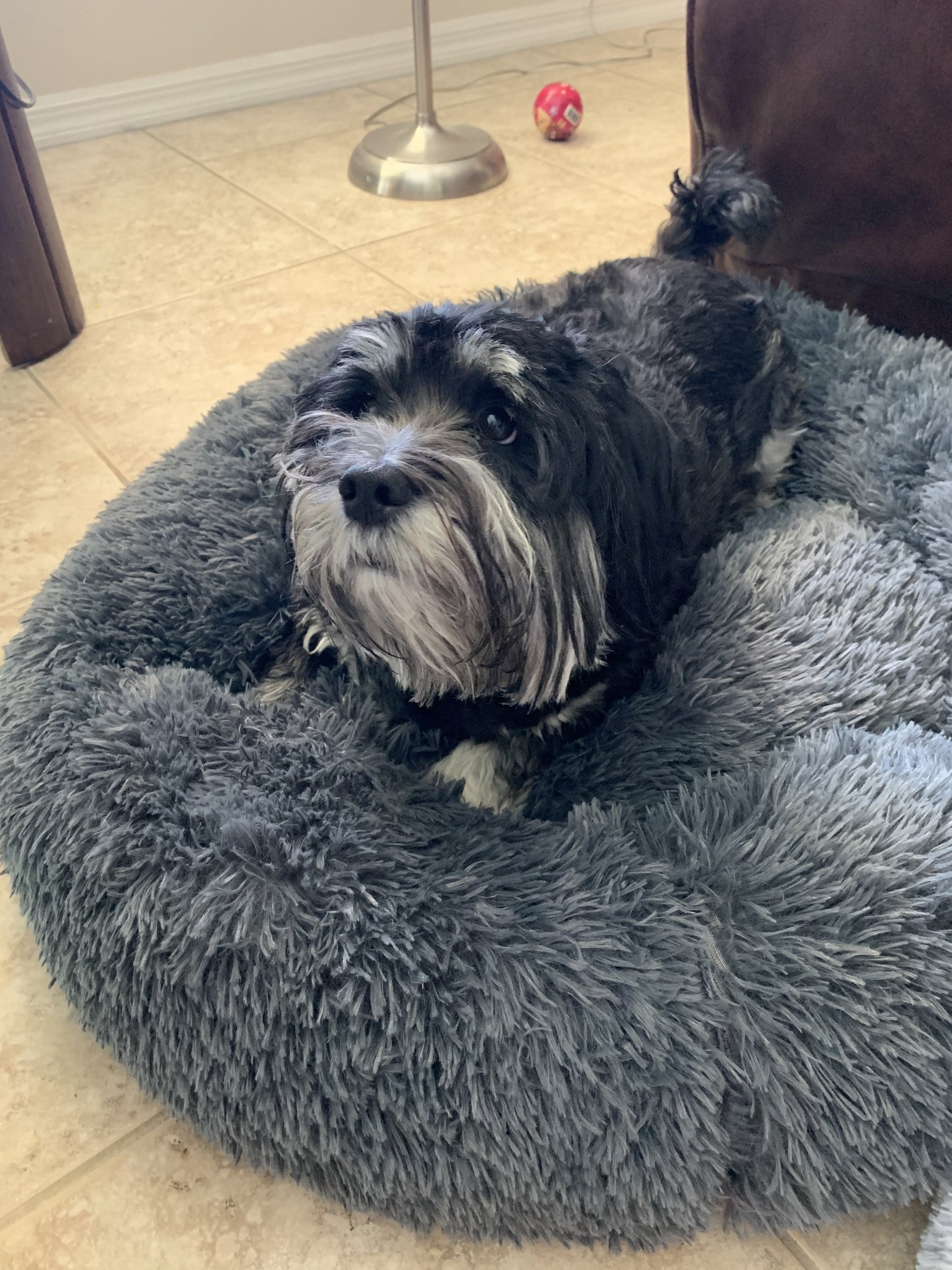 Mr. Peanut's 23" OrthoPlush® Pet Bed - Gray Two Tone Mr. Peanut's Pet Carriers