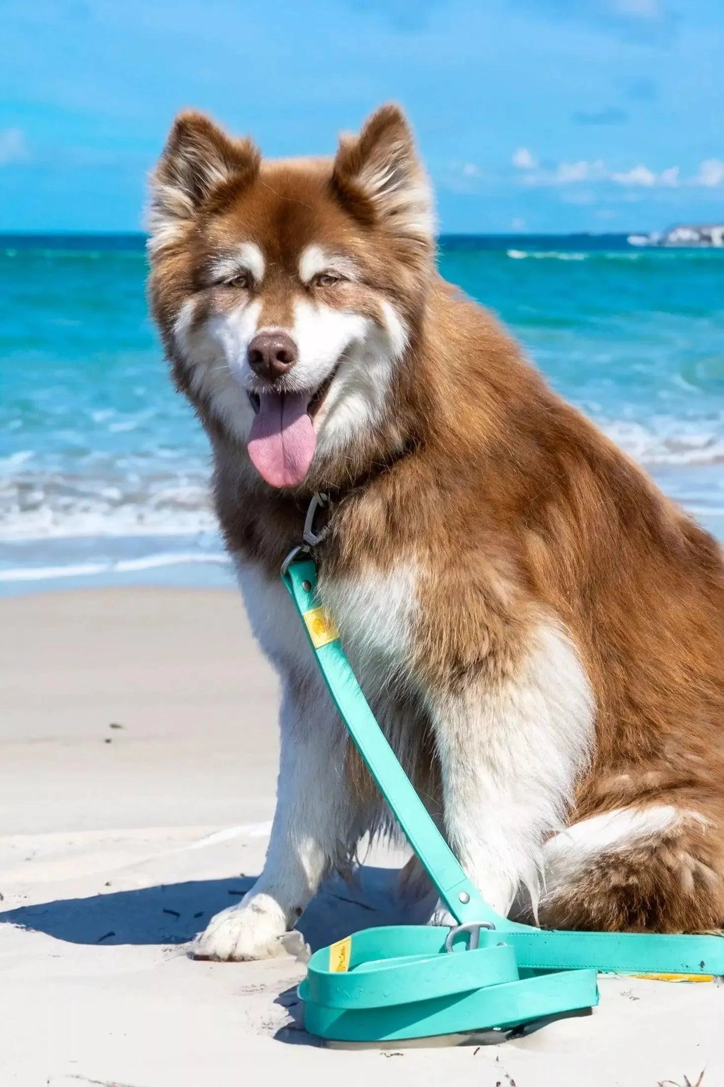 Island Vibes Waterproof Dog Leash Aria the Fox
