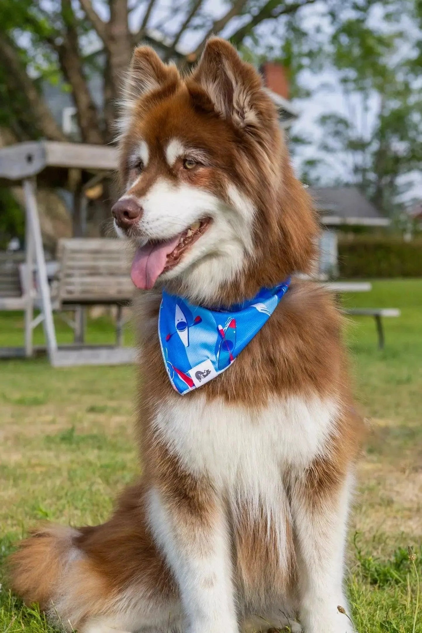 K9 Kayak Dog Bandana & Matching Keychain Aria the Fox