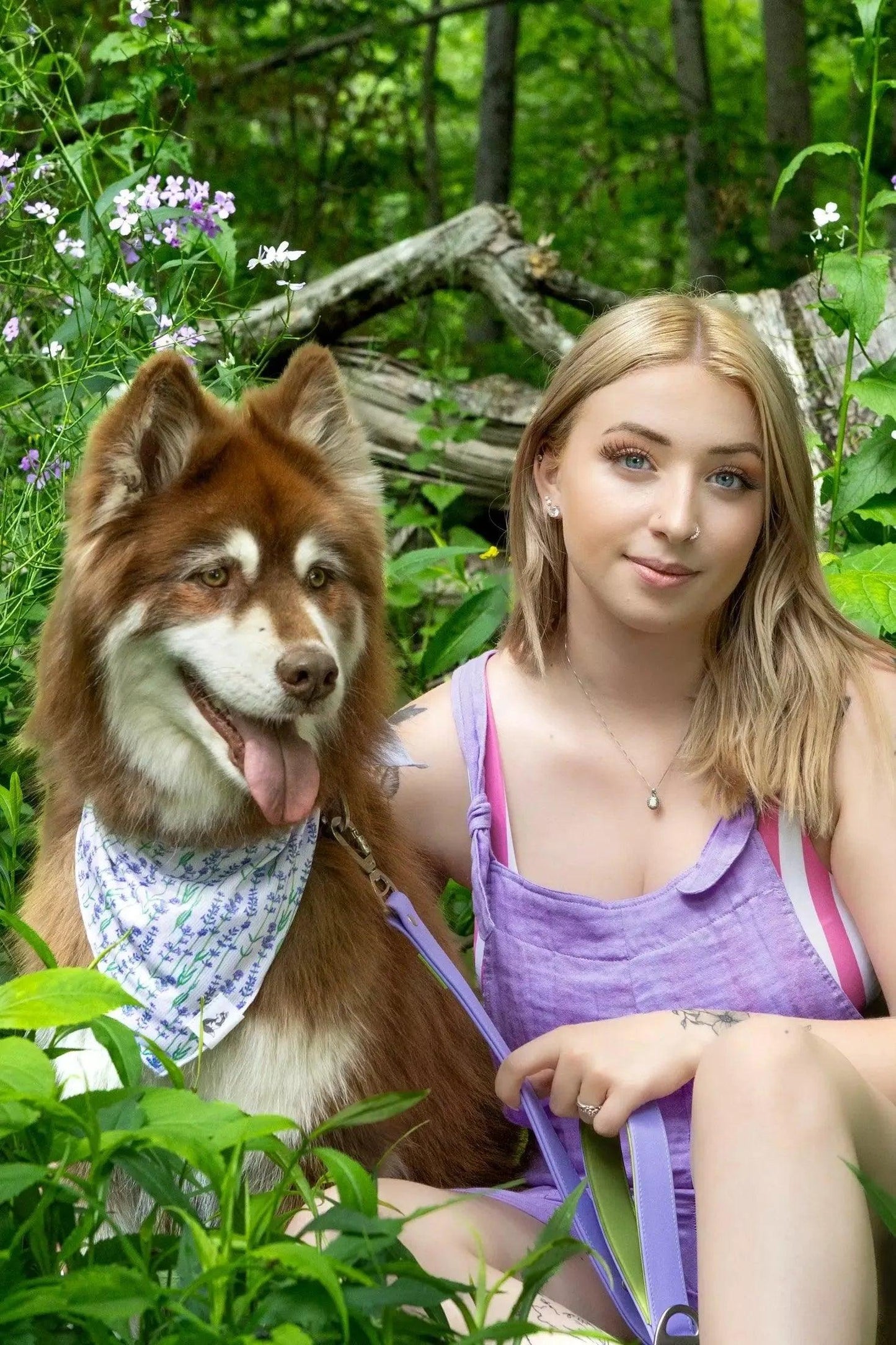 Lavender Blooms Dog Bandana Aria the Fox