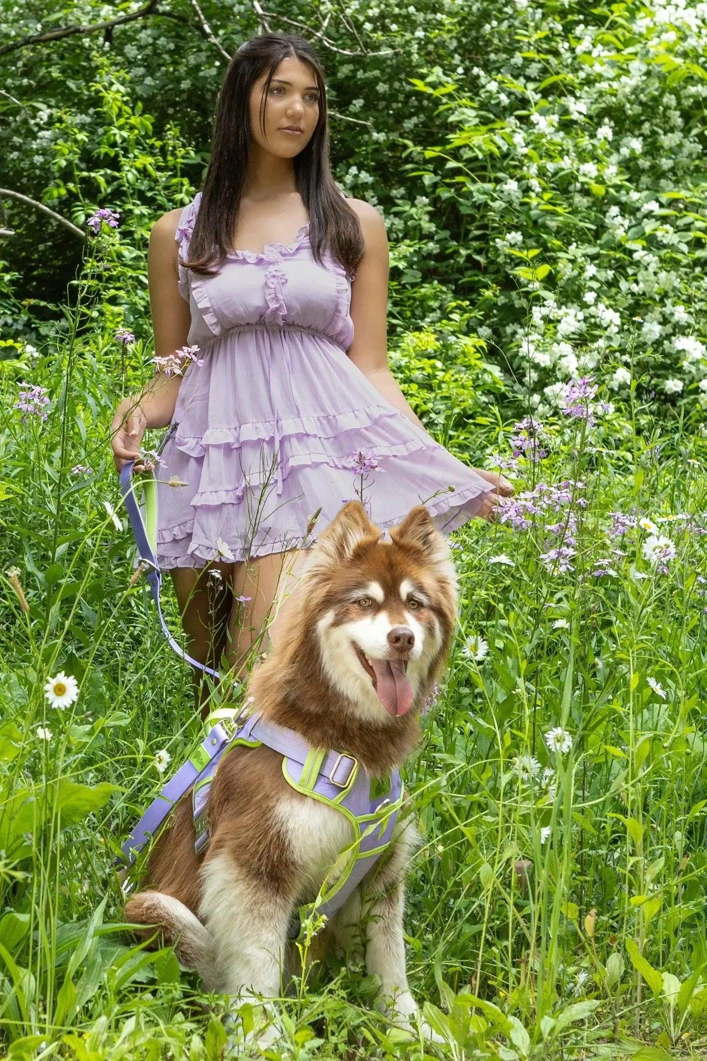 Lavender Garden Ultimate Dog Harness Aria the Fox