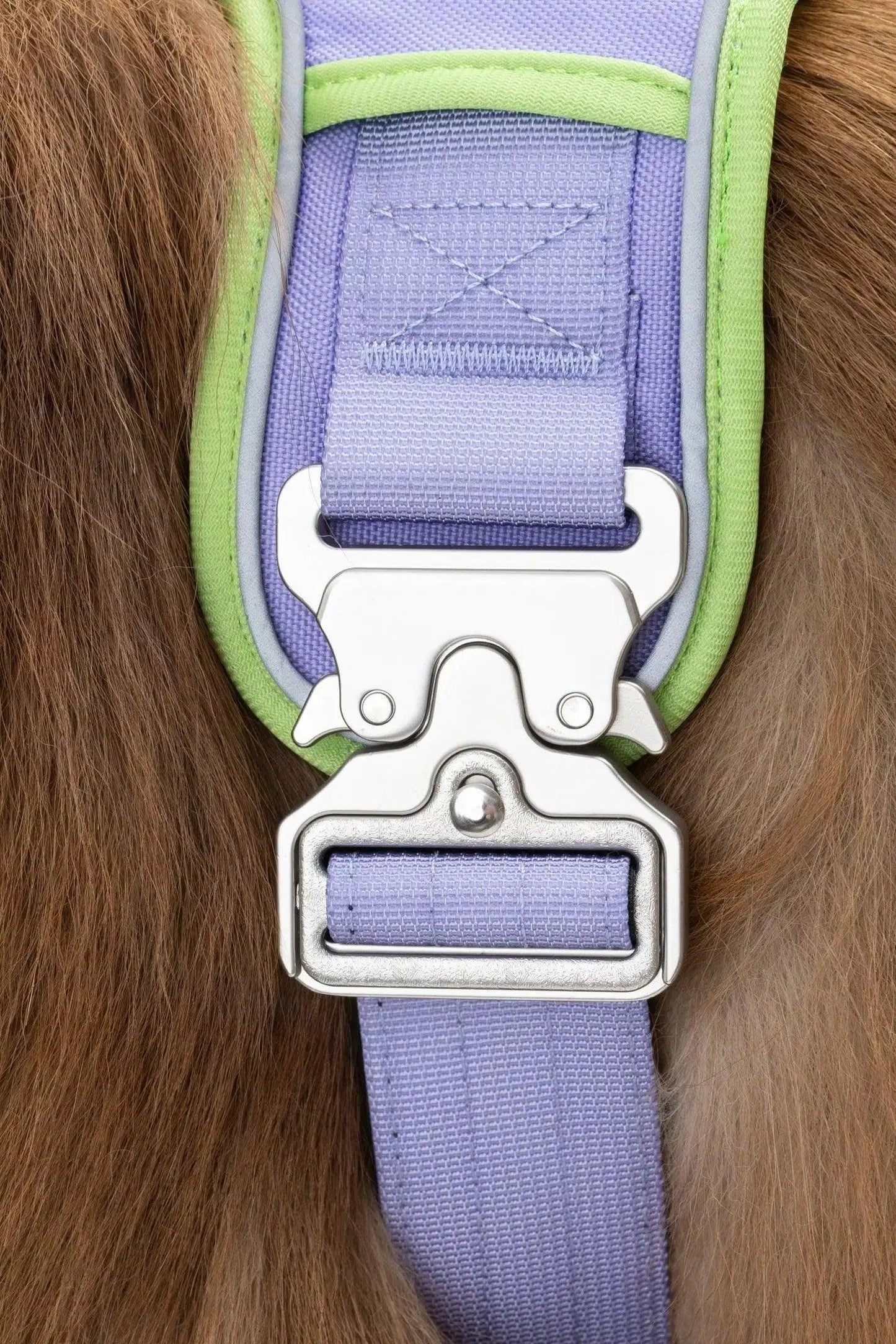 Lavender Garden Ultimate Dog Harness Aria the Fox
