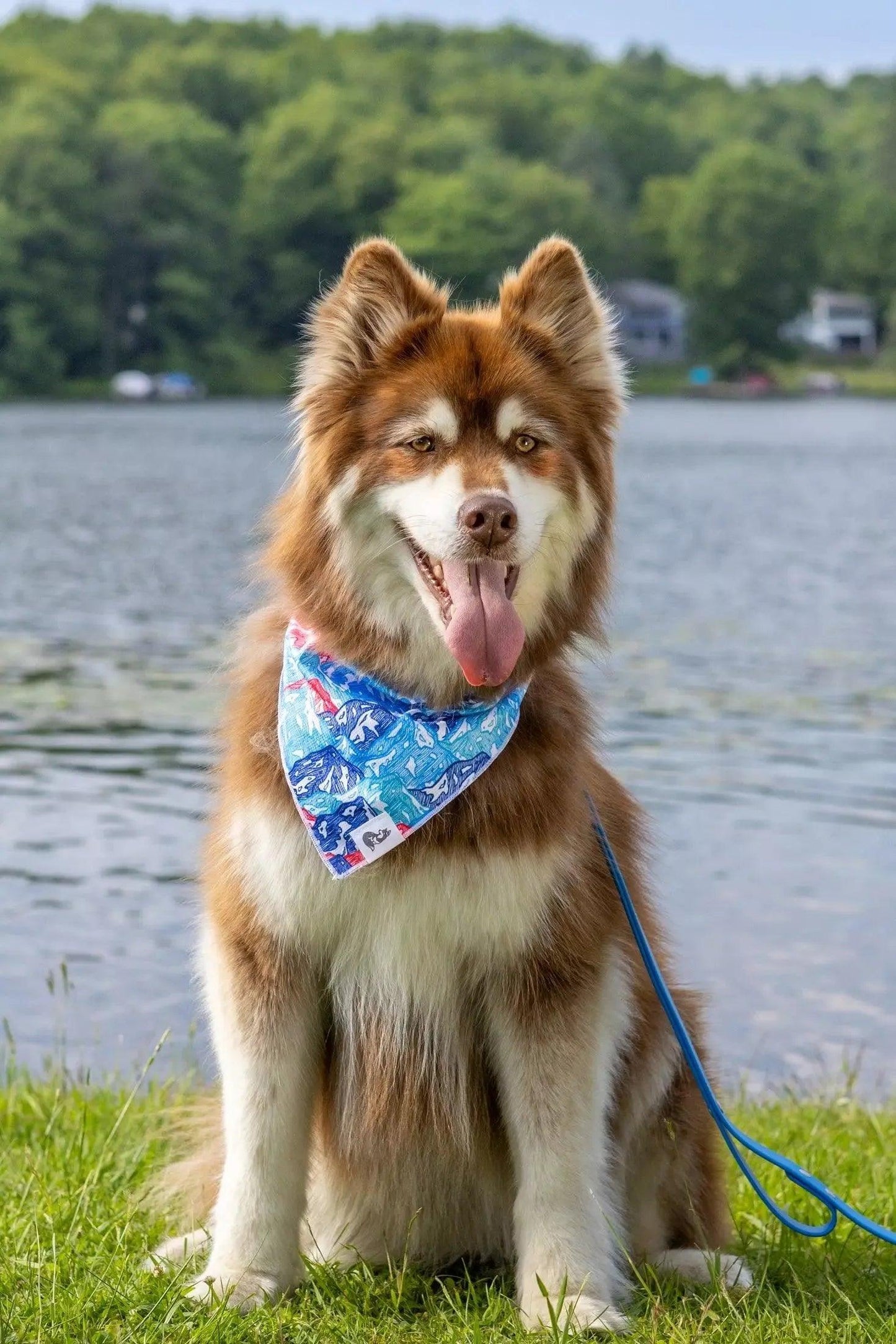 Painted Peaks Dog Bandana Aria the Fox