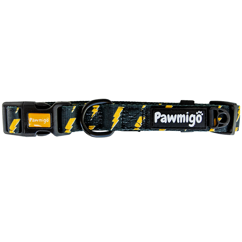 Pawgwarts Classic Collar Pawmigo