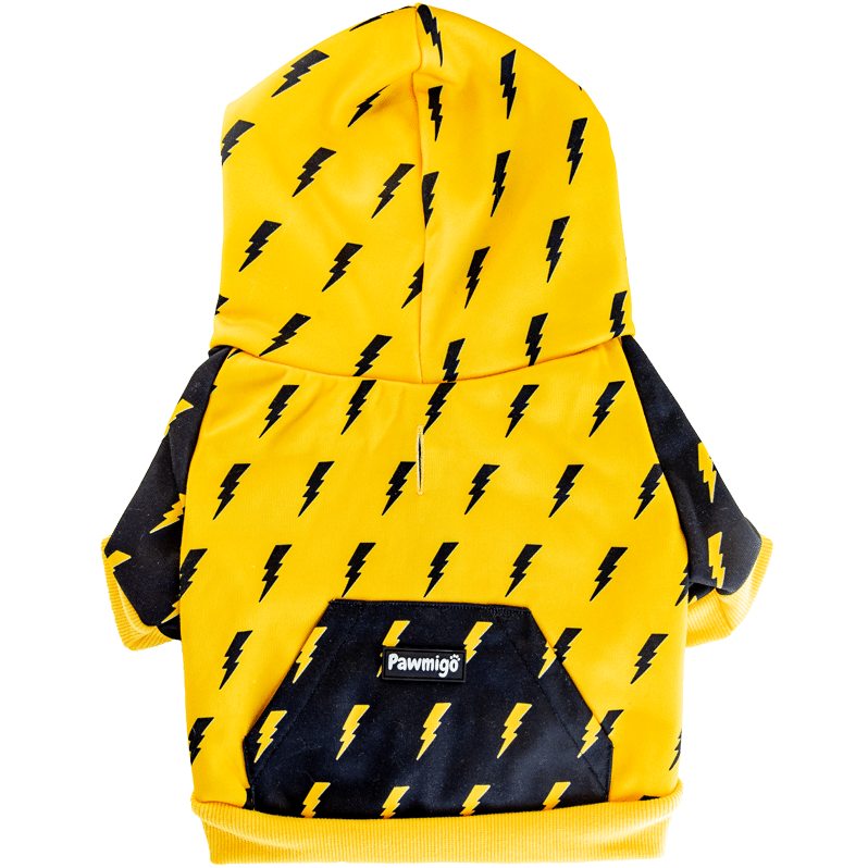 Pawgwarts Hoodie Pawmigo