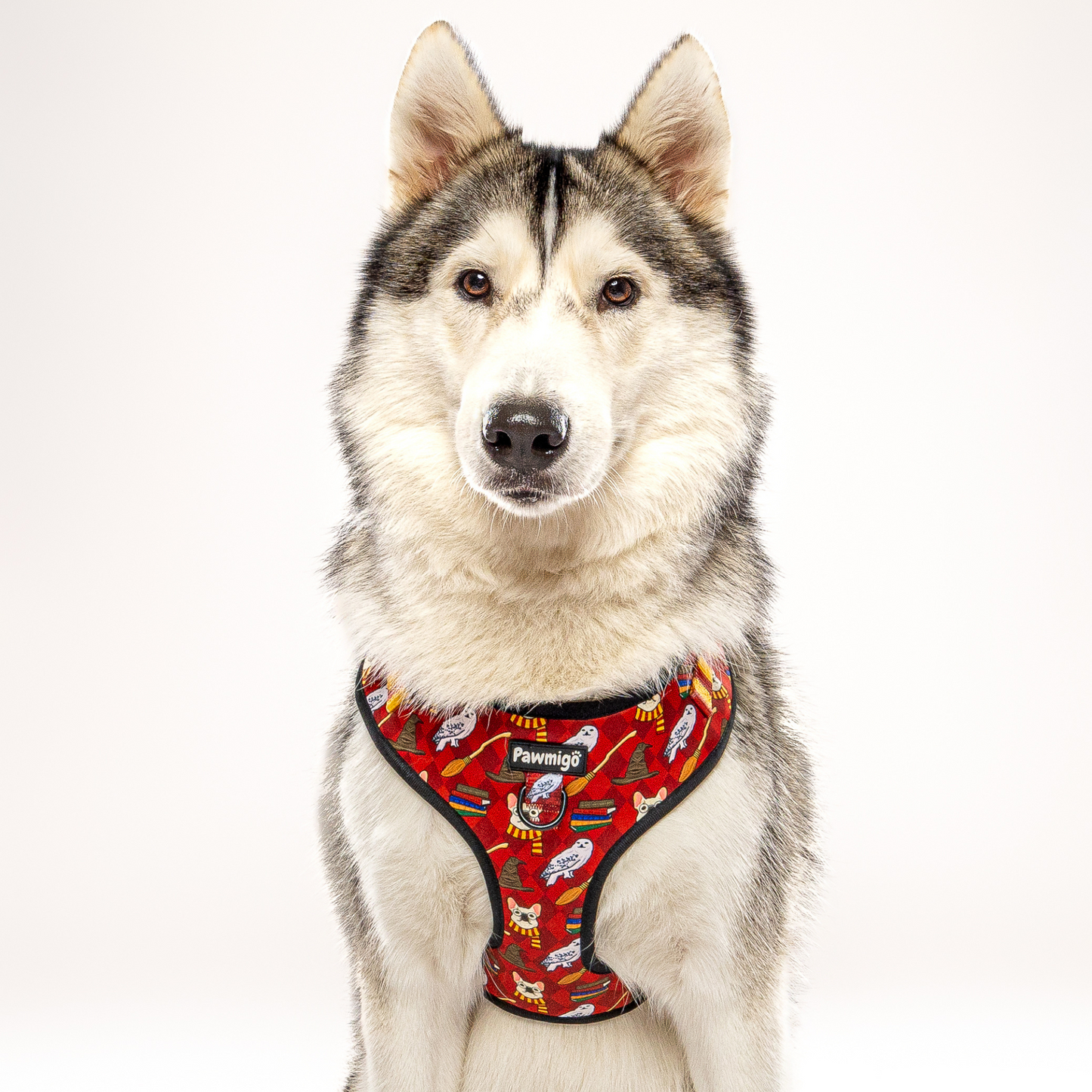 Pawgwarts Everyday Adjustable No-Pull Dog Harness Pawmigo