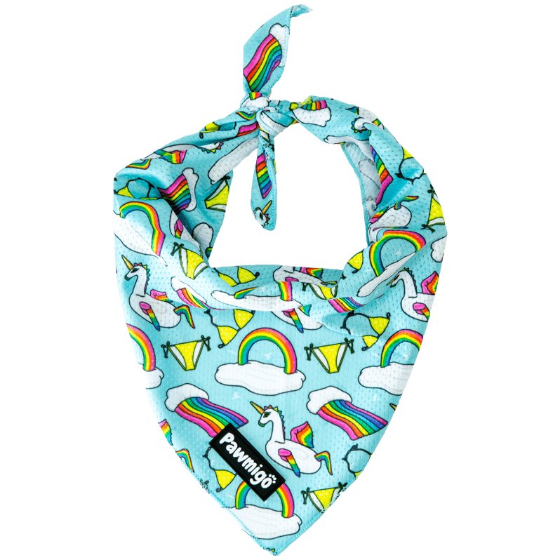 Pool Pawty Bandana Pawmigo