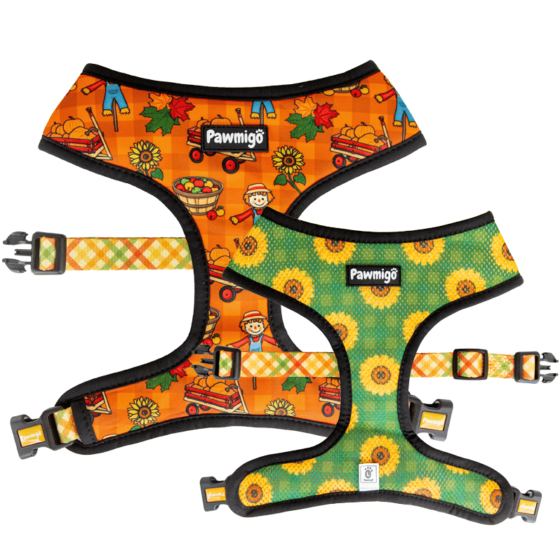 Pupkin Patch Reversible Harness Pawmigo