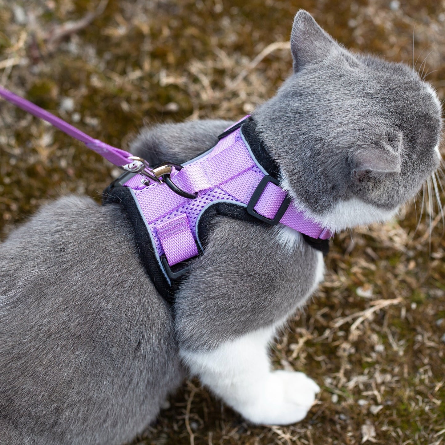 Mr. Peanut's PurrTrek Reflective Cat Harness with Matching Leash Mr. Peanut's Pet Carriers