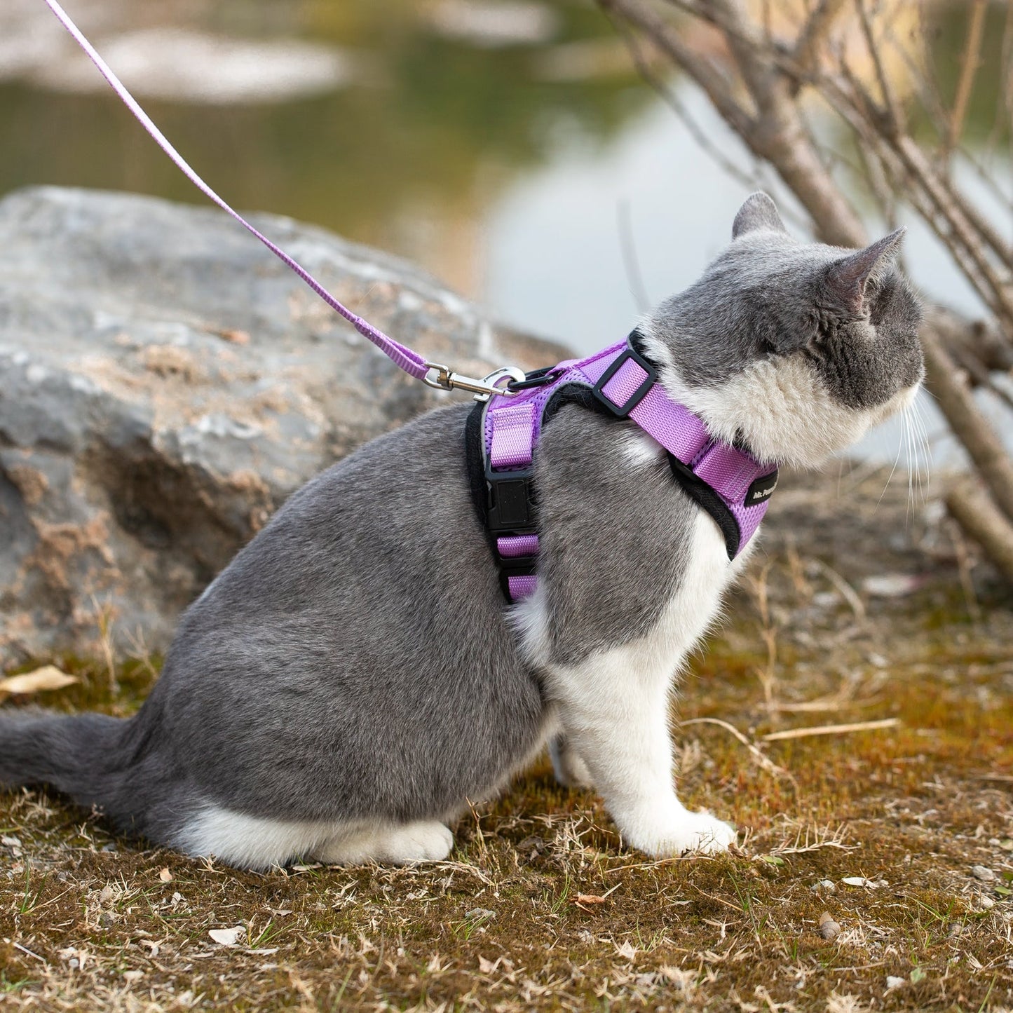 Mr. Peanut's PurrTrek Reflective Cat Harness with Matching Leash Mr. Peanut's Pet Carriers