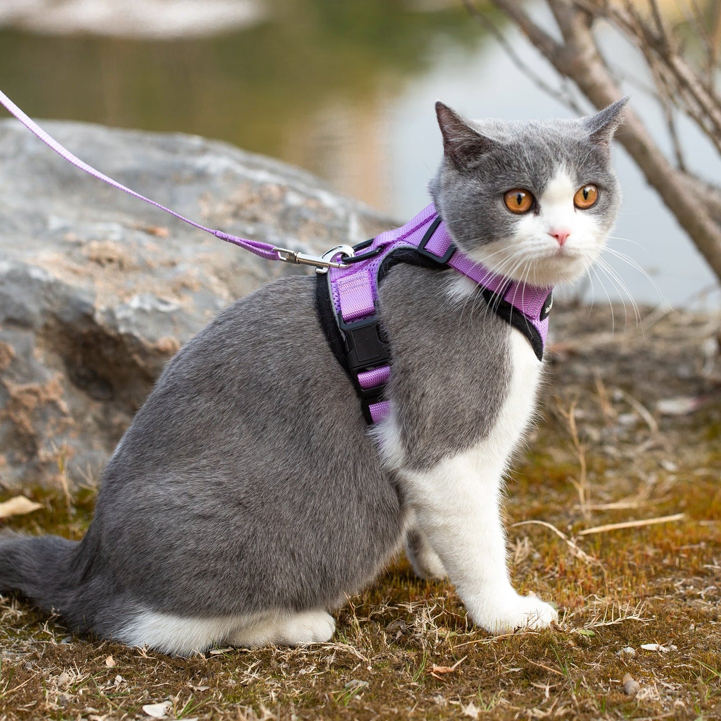 Mr. Peanut's PurrTrek Reflective Cat Harness with Matching Leash Mr. Peanut's Pet Carriers