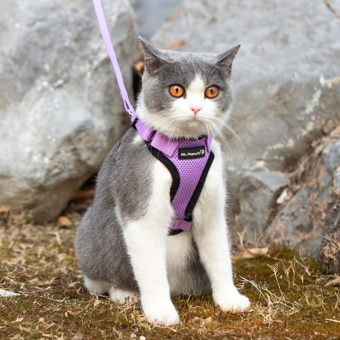 Mr. Peanut's PurrTrek Reflective Cat Harness with Matching Leash Mr. Peanut's Pet Carriers