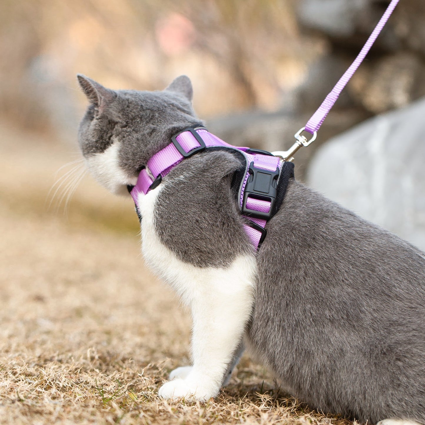 Mr. Peanut's PurrTrek Reflective Cat Harness with Matching Leash Mr. Peanut's Pet Carriers