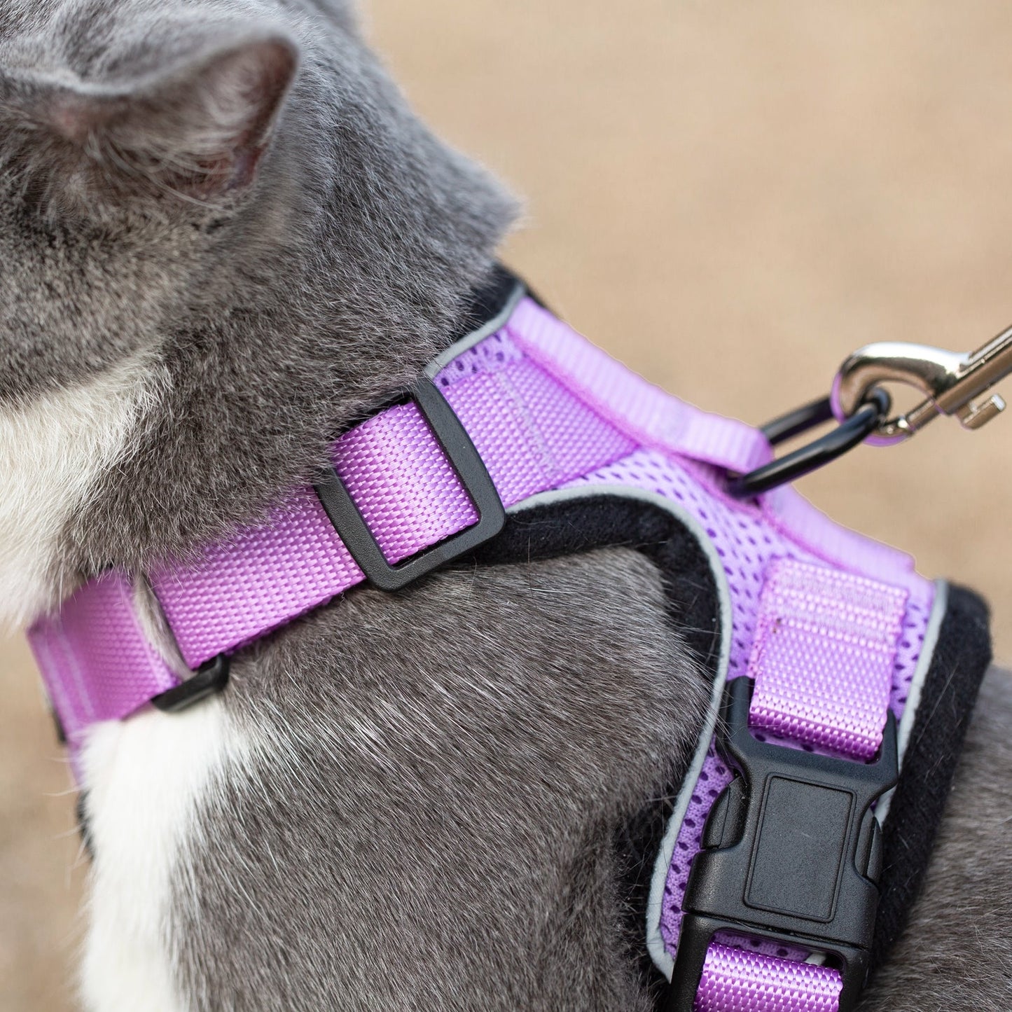Mr. Peanut's PurrTrek Reflective Cat Harness with Matching Leash Mr. Peanut's Pet Carriers