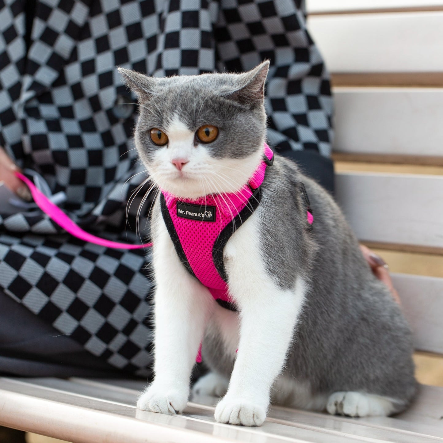 Mr. Peanut's PurrTrek Reflective Cat Harness with Matching Leash Mr. Peanut's Pet Carriers